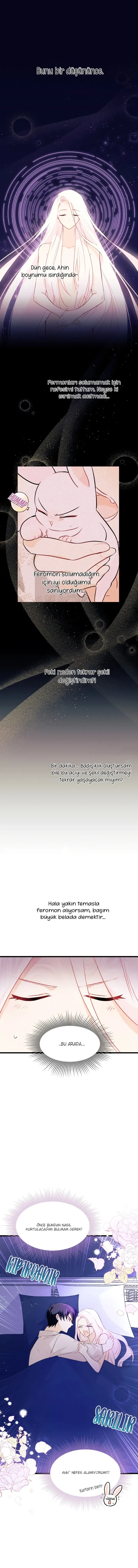 MDAxSk5OTlpENkFXNldGWA.ezAk5xR benJcoHePHRhuYVbj6L 9T2HS0BDdZZlk8o sApZDfDn0RQRJUFIwlZc
