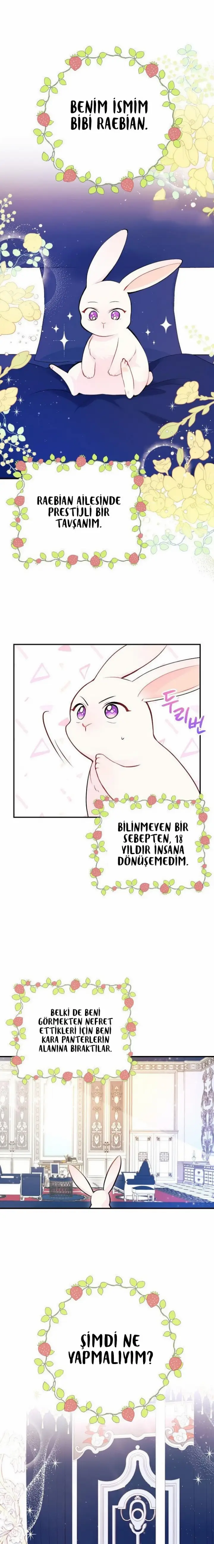MDAxSk5OTlpENkI1TlpRRg.q u8V