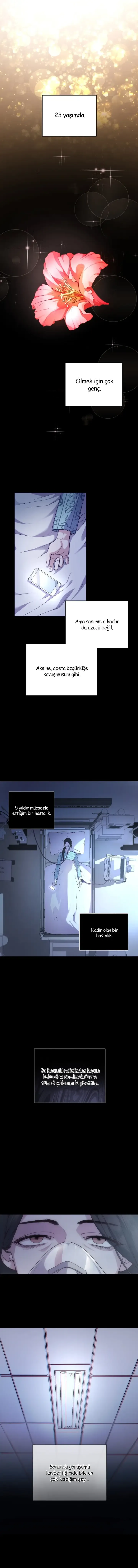 MDAxSk5OUDJQQkNNREZXVA.