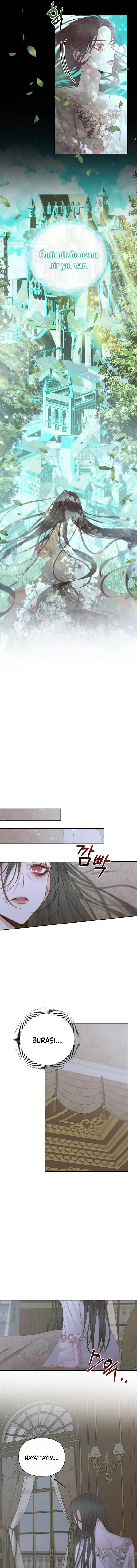 MTAwMUpOTlAyREVTN1QyTg.7269K2bgvT7WyCgVVUYbwZi9JStT xbSaeVbOS12 LE