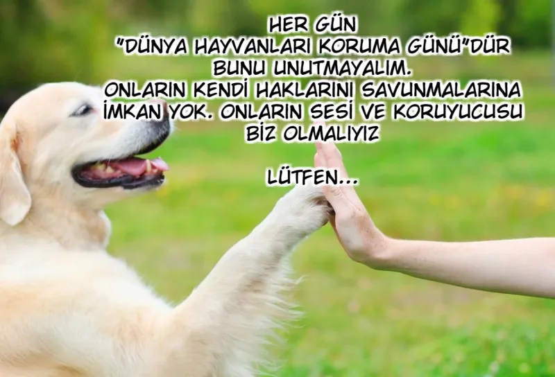 MTAwMUpOTlI0SEVSOTVOWQ.VhmZtUH0Q D4zfuprwUZvPYOuTwpPO hOmTzqHjr1HW Y2z2XEwX0hvS B0TIUZH