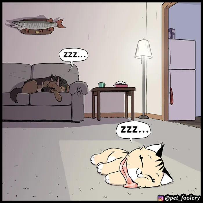 MTAxSk5OUkFaUFcwQlgyMg.motiBqjdyq