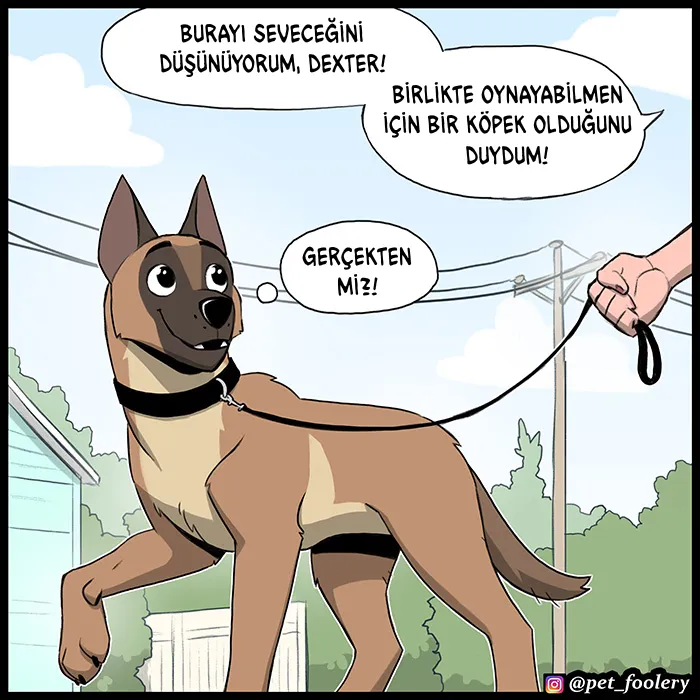 MTAxSk5OUkFaUFdHNkRDSw.dxt