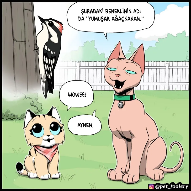MTAxSk5OUkFaUFdRNjQwUw.mC2cWED1OLYXkjBLjId67L tQAY0m4YJ3ysK86zqi1k
