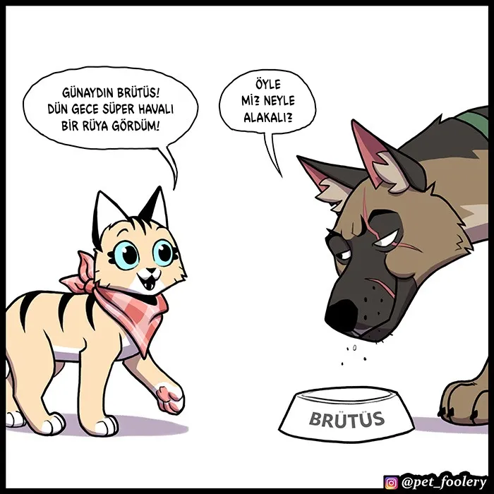 MTAxSk5OUkFaUFg0SDE3UA. ajMgz VE0FfLrMp4Ws7Uvo Sab8N4BlQrKDoPzsqwc
