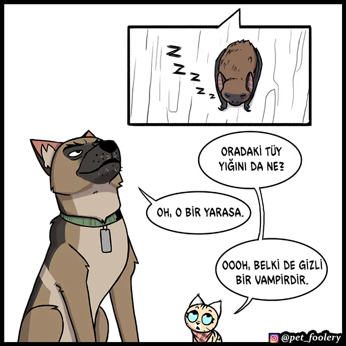 MTAxSk5OUkFaUFlOVFoxVw.Qj5fkRJVpvJ7GuyvDfpo0anxDqu6kNhXEmbDcmjv TY