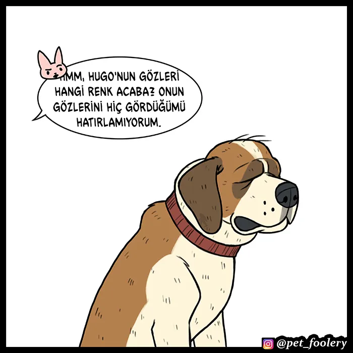 MTAxSk5OUkFaUFpLWEVENg.c KM