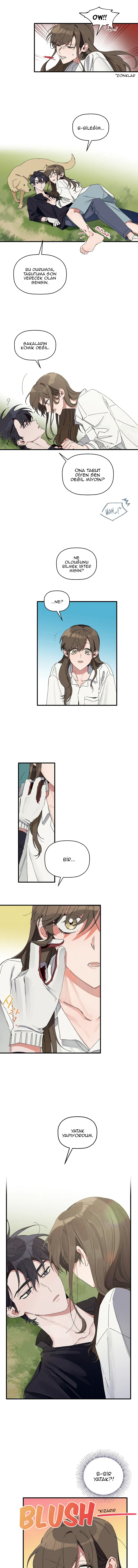 MTAxSk5OUlJTTTZCVkhFUA.tsVofYQurHCpJHA1vQqAQ4fT2TG8MoLPgAeuCm