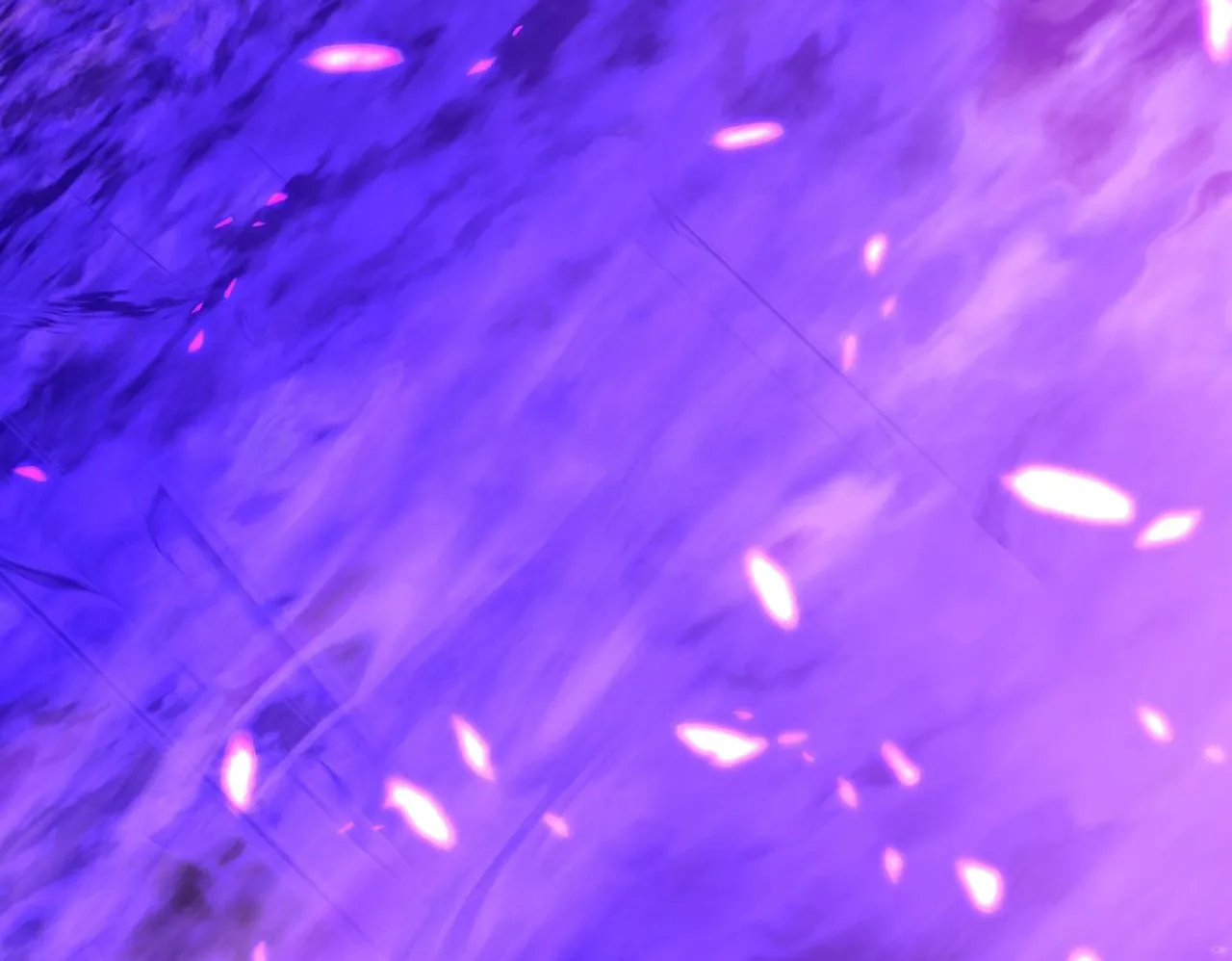MTE2MDFKTk5SN0VZUjJTNg.bR0R45yrlK3ZJlTOVdE3ENIcdbFZRlSy1j4QAQ7U1rk