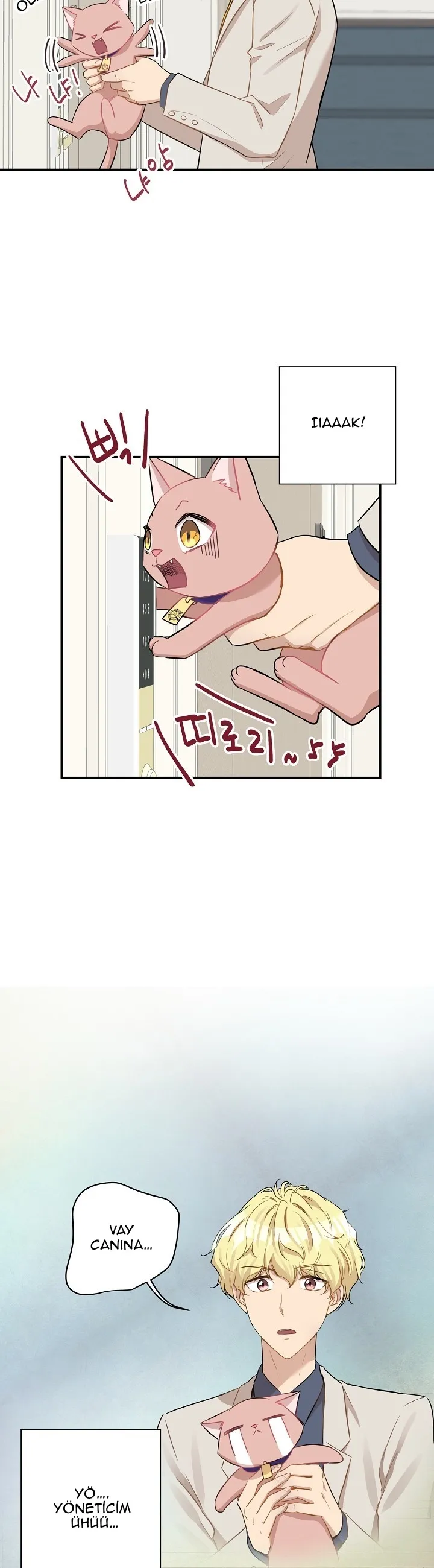 MTUwMUpOTlJTMEI5RTkzMA.9q3sCbPEJSxQGPqysvpQKGc75VX93