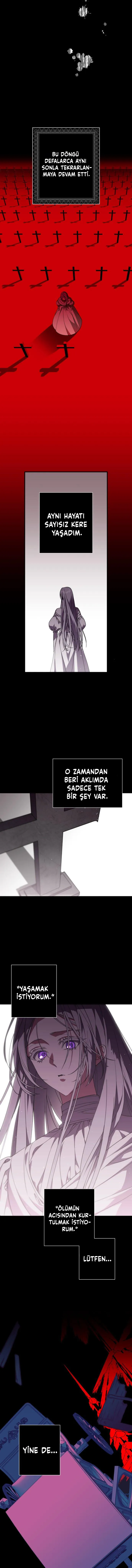 MTUwMUpXNFlCN1FFMTc5VA.7PE52w9ucqg8dQIuZd5ynsI3fWz56JDmHyZ9EQzyg1G6TGi1g7R8fFTC7 ihBn8 2f9X5v tkR98nXZmQzTa0A