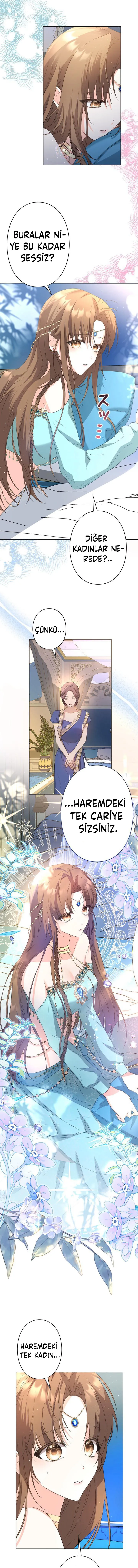 MTUwMUpXNFlDODBRQThZQQ.pshbQwsjEDevNiz09ZdA5uJbMchsJqZFFgCcVTgBNVs