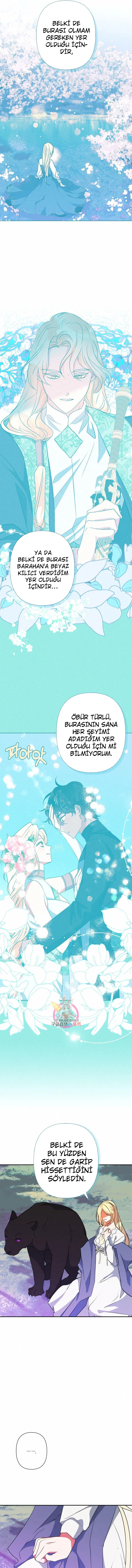 MTUwMUpXNFlDRVE5MlhKNQ.aeYKahr YkPghkSkW8fsW5Nr8
