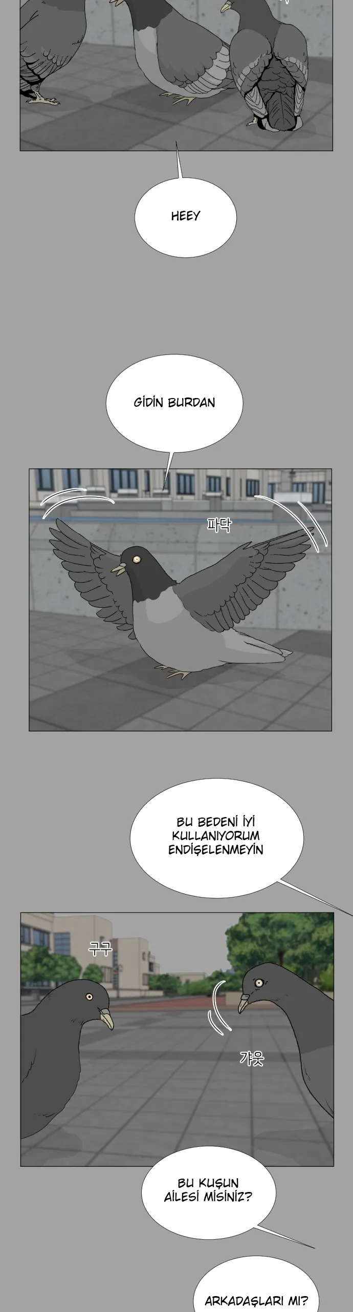 MTkwMUpOTlI3M00wMTZLSg. S4R4Y61WXEUBoR7lkHaSKWSKEsv1UcxotXB