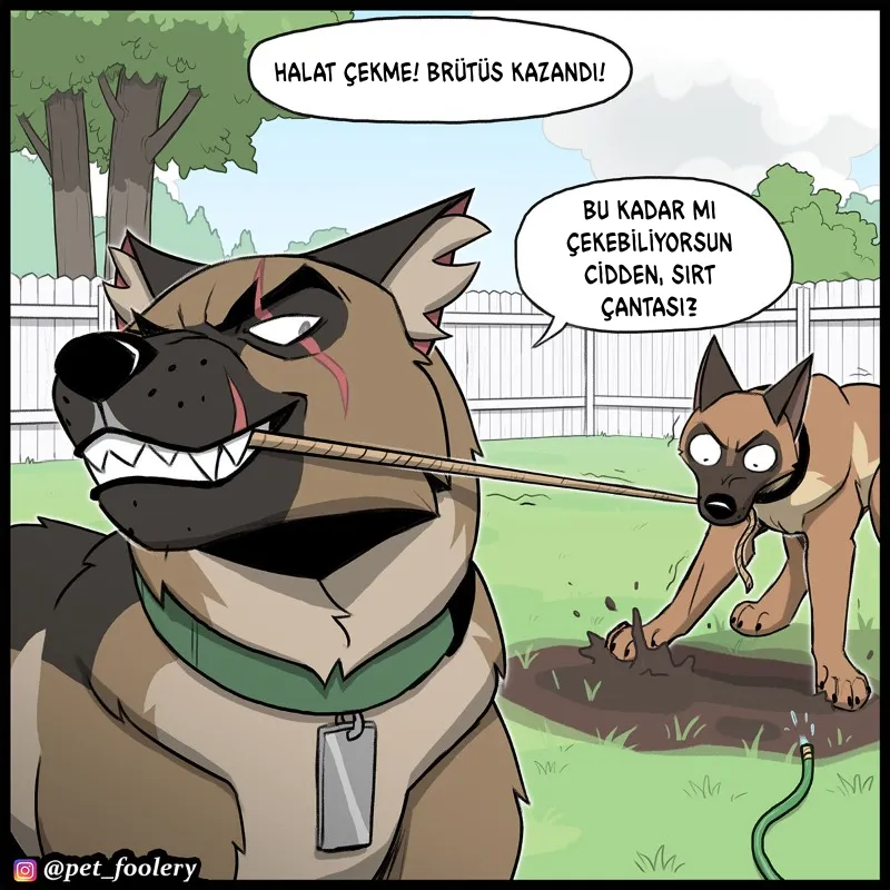 MjAxSk5OUkFaUFZGUkg1TQ.V1TKEKctKdjBcF NzFKhVnHP18 QdDLCVsdM zhcBvQ