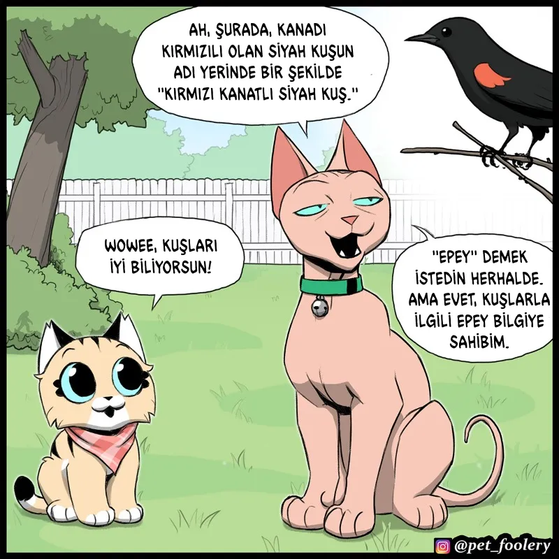 MjAxSk5OUkFaUFdRNjQwUw.wkDw dcrBvgmBu