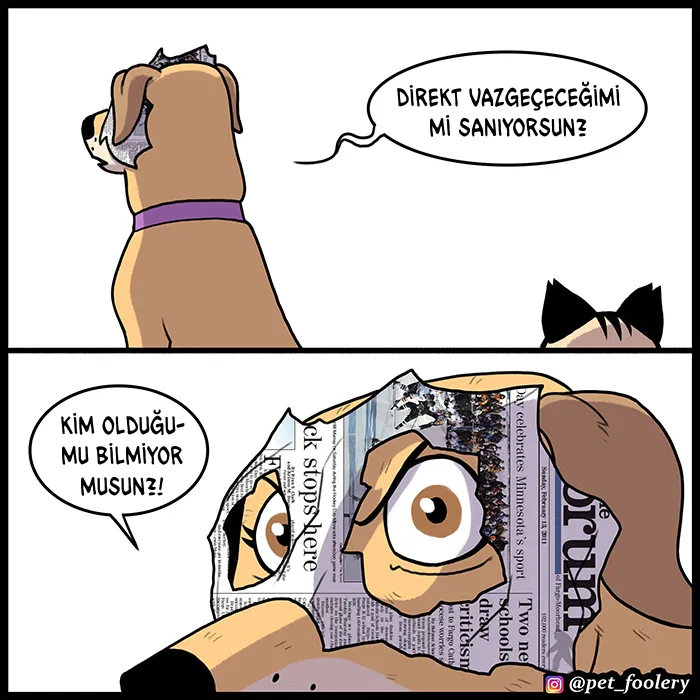 MjAxSk5OUkFaUFgxQ1pFQQ.pR6VkGbf laS QMre5mnbs8 ssW3USgASf2ywRgPfoE