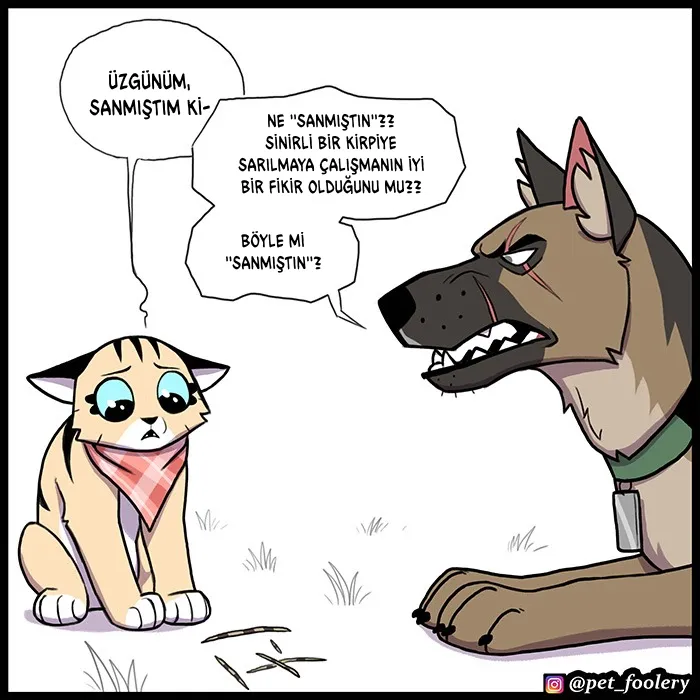 MjAxSk5OUkFaUFhGWFE0Ug.EWKlBn2bu9S A728UOj0frOq5426xF 7ipvc0d9 GEk