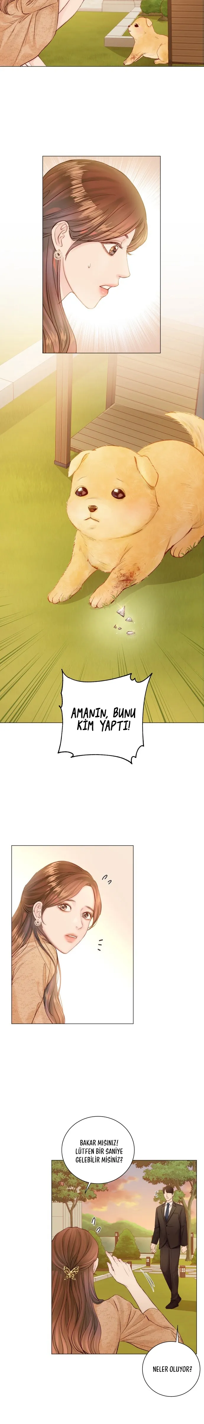 MjEwMUpOTlI5TTZLRTVGSg.7a6hHrXI31CzslEvFVjvuRm5sAHOYvEQOg43X4HbkN4