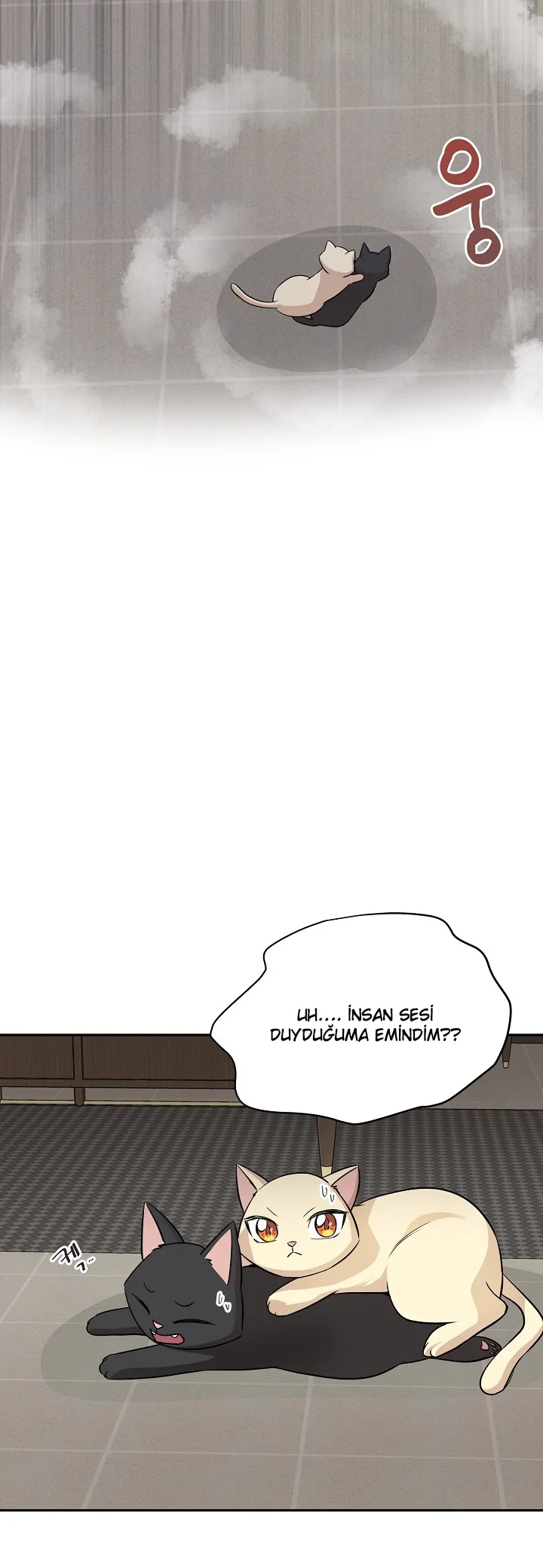 MjEwMUpOTlJTMEIzUENaQg.cIRA5Keaj2o9u4Pr0lFTyjYrvBCr7uLGsQiX0Vh3vzY