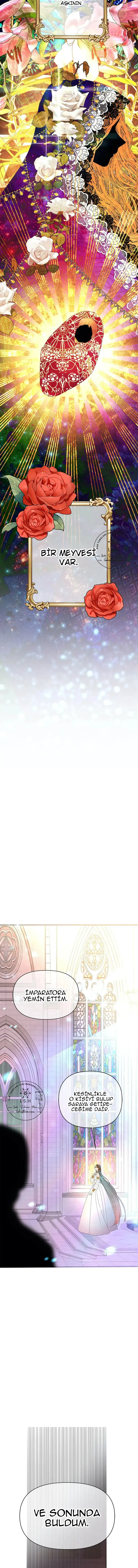 MjEwMUpQNFA1SlpWNTk5Ng.BZJmub2i5Ew2qsTxw4mcXe5aompk8