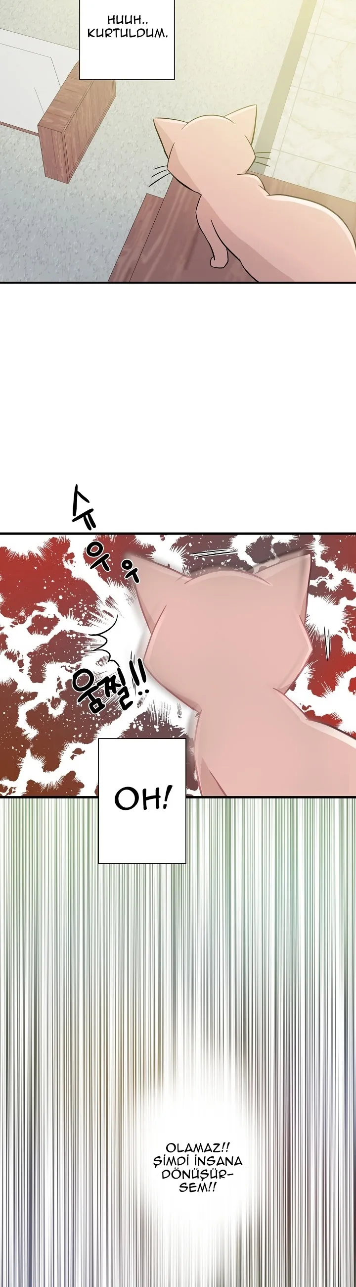 MjIwMUpOTlJTMEJBQzE3Rw.I2eybjUgr1HgRpsSAFCypkWbInM5mZXT3T4gp5YpVyk