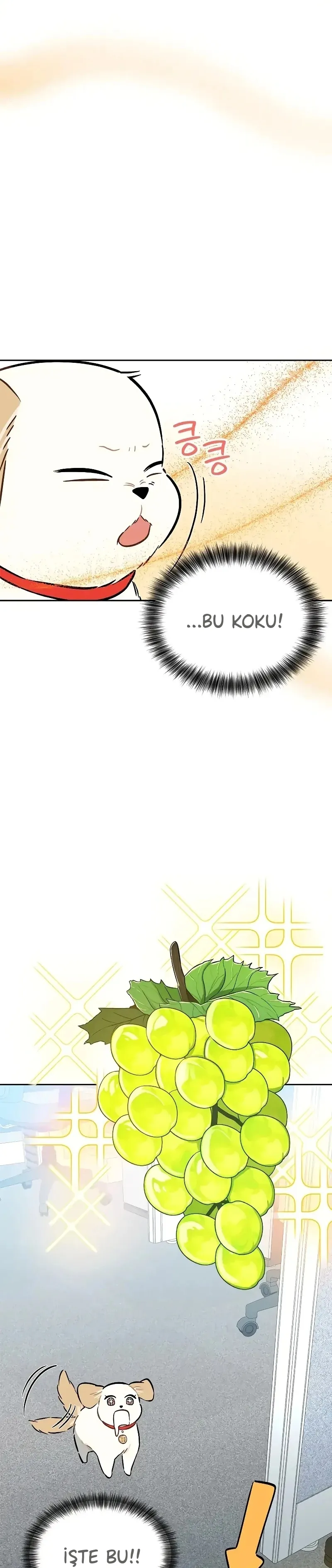 MjUwMUpOTlFLM1Y3QTkwMQ.nG1qEgQyl68ZlZj usedAzGvbTQqRKyPaUQTndQId8uQ3DS24P hzQoFSDl4cj6F