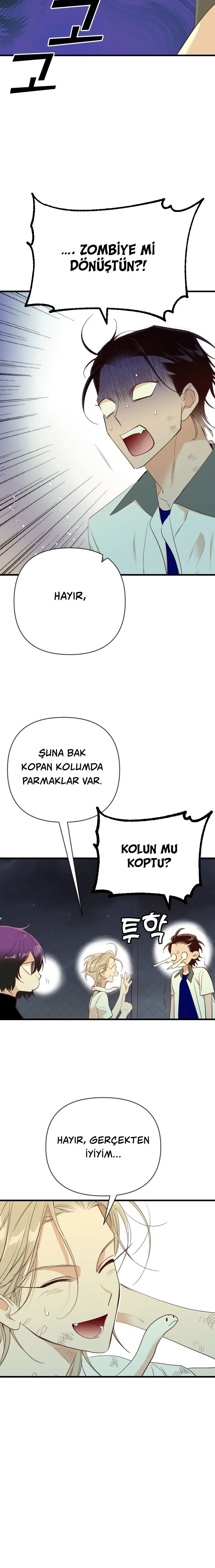 MjYwMUpOTlJFNkY3VlNaSA.sjd3n5W8 O8WoNp3QYsks oqX4S3BvLK3OFKcfPLnRI