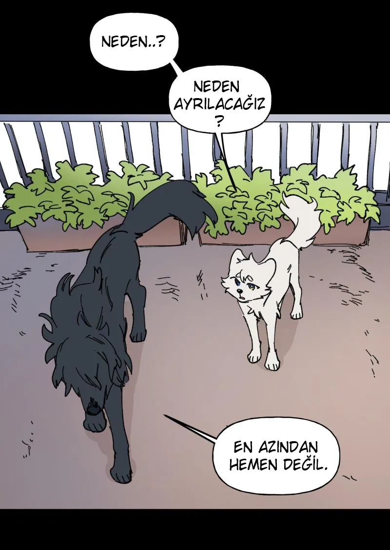 MjkwMUpOTlI1OVlKSFhFUg.VlzAwxVMSj dNq