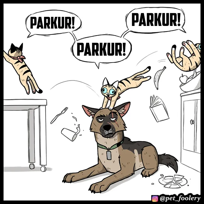 MzAxSk5OUkFaUFlHQUNUTQ.t5AR4 O5zISlri 6c3HSUmoO8Tj8a M6CI0zlB 1cpk