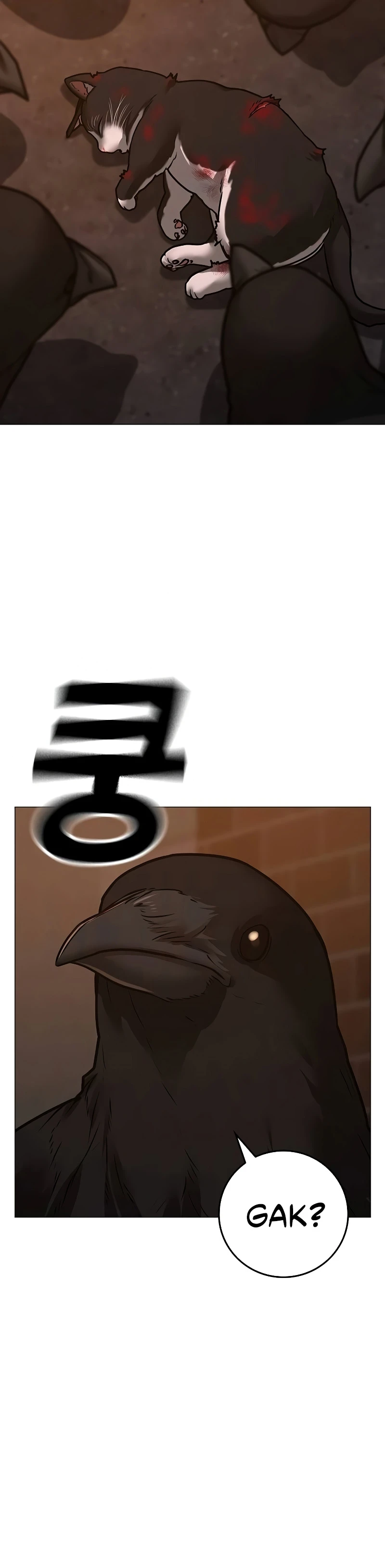 MzAxSlc0WUIzWFgxNUFSNA.vsV5BolIRCw DcRkIlhbj9goVxK4CWfeDU9Hf Aw fo