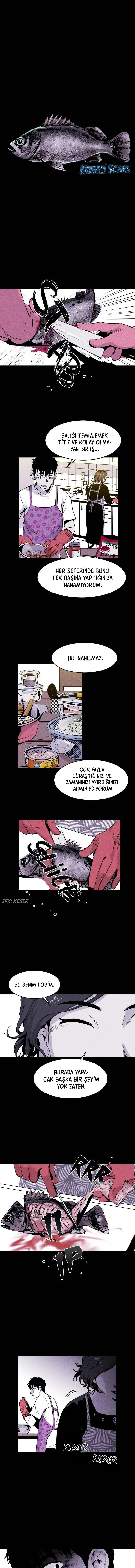 MzAxSlc0WUJYRVo4OUs0RA.quP12i