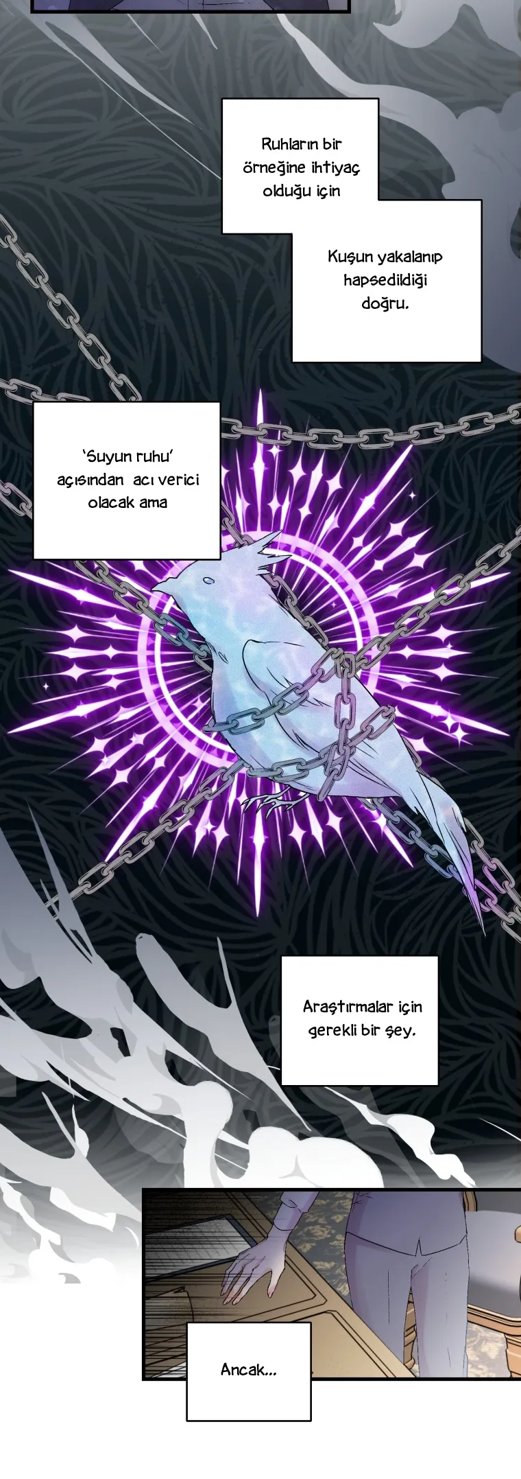 MzEwMUpOTlJBV0JCMFFIMQ.hJvf xjCG3iD2s6 r1KOuz7rlUdpfJo7TeL7k0zpK A