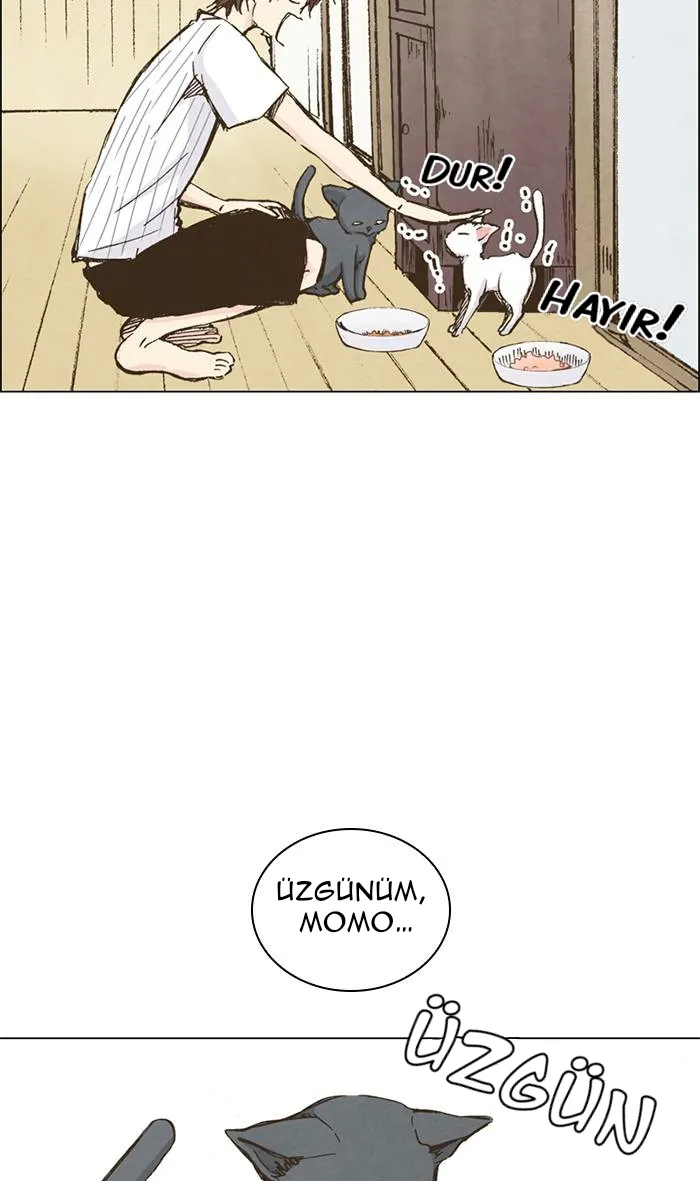 MzEwMUpOTlJFQU1QTlc3Uw.V3pS1UbJF4wdRggcD235B Qn7yPLYJ55i5IBiRKMBSA