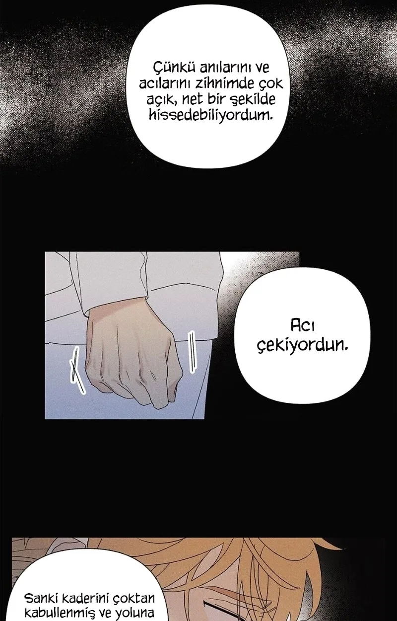 MzEwMUpOTlJSU01QOTVUQw.EfIvfcjn8KMyvu87