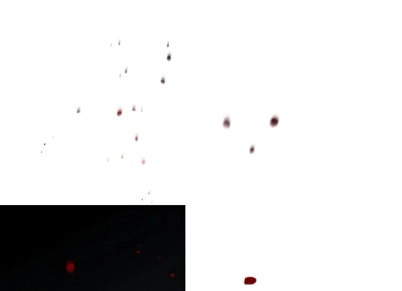 MzkxMDFKVzRZQzQxV1A1Rw.E6GIOtIq qqC9taoqNY vvhQ9I86Y0SBTPvX2Ol1Ork
