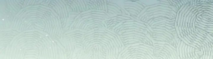 NDAxSk5OUDFQSDRHS0pRSw.PvTNIvxF3O01b 6JXC5E0Qb4NzsekcWOpBc0K1xkAb3HlOtnMJW9k7X U2MQAUDe