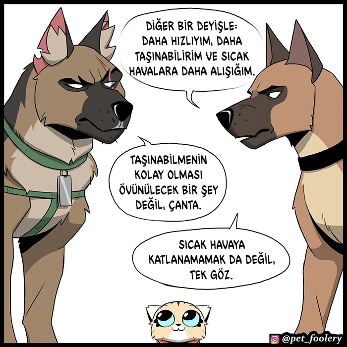 NDAxSk5OUkFaUFc3WVJNOQ.UAYLUw5M44iO
