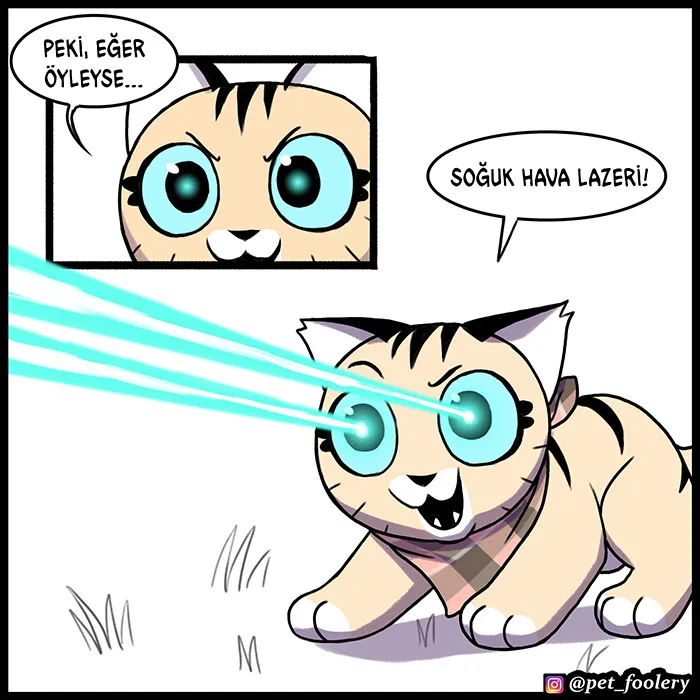 NDAxSk5OUkFaUFgxQ1pFQQ.3so8MxkiZJ