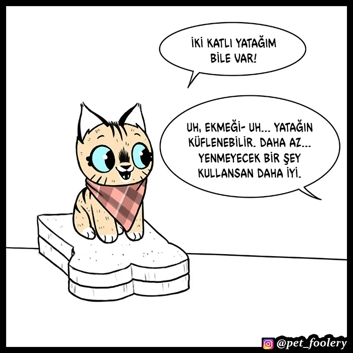 NDAxSk5OUkFaUFpXM0haOA.urnYiCQWxfQ5e8RR s DeOSB5ifWeiVfcBjTRiBUAAI
