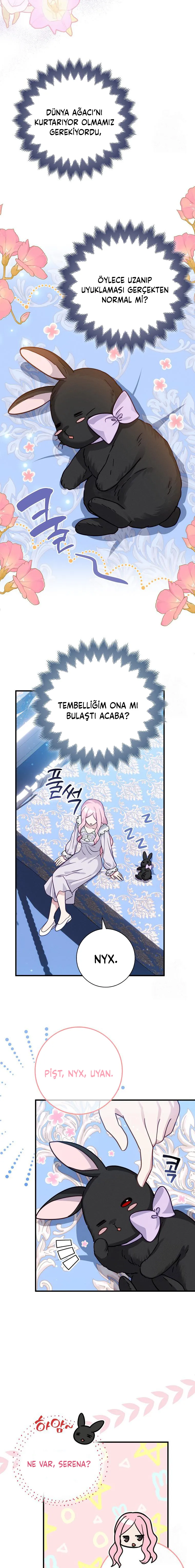 NDAxSllCVlNDREpXS1hNRA.bzRRRLpCuBFnXISIdJzX