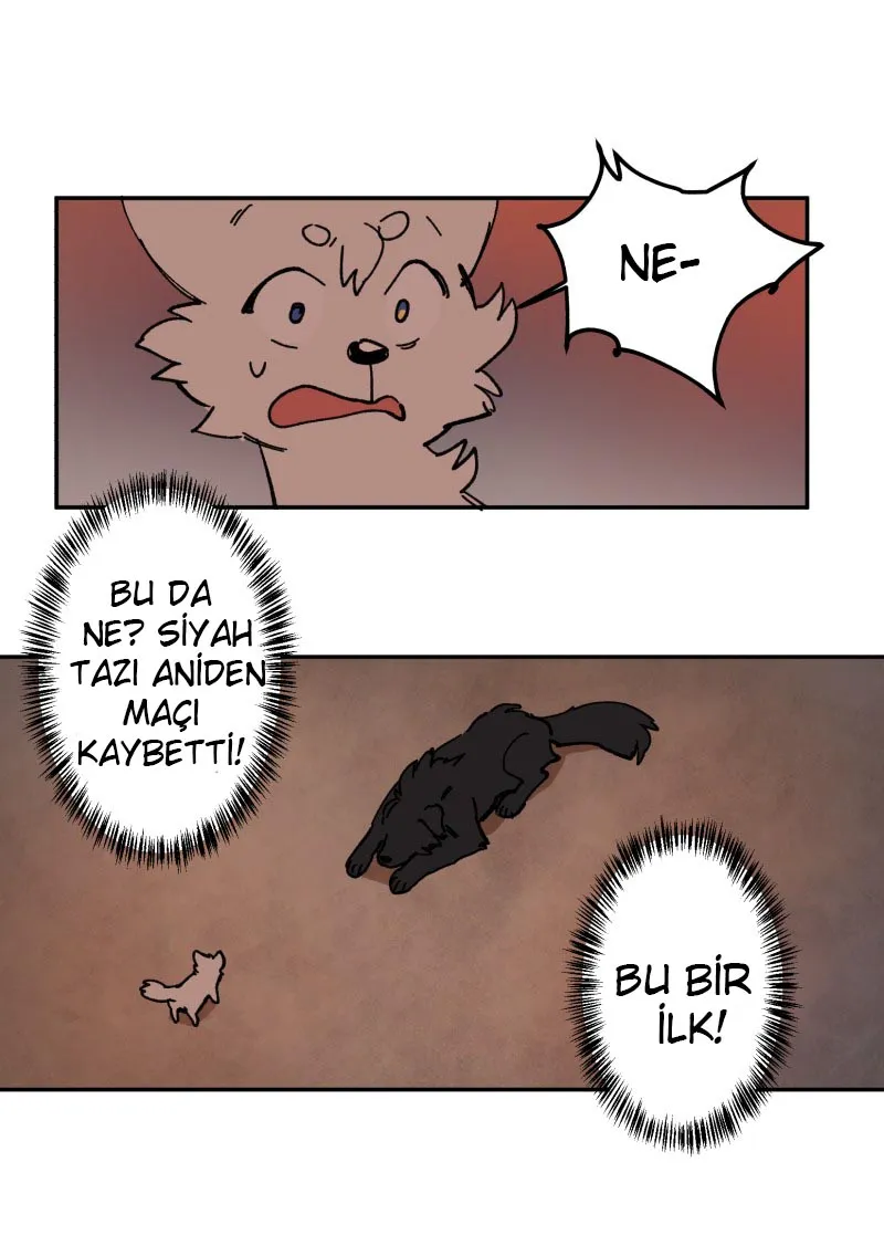NDYwMUpOTlI1OVlKRTdCRA.bZeGqddfHVzBpO9DO6WphWB5wBRRrU1fHoB0rYV6Pm0