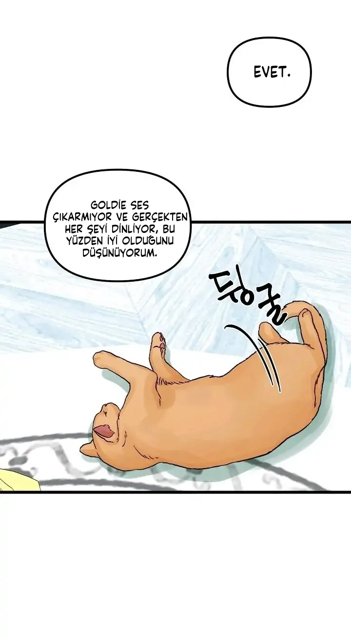 NDYwMUpOTlI2QkNDTUo3MA. zsUcrCpcHHP3Blm2KCgKTGNhX 5mgRAANfv082RCDIPY Tu4D2YjbNKnHyPb6UE