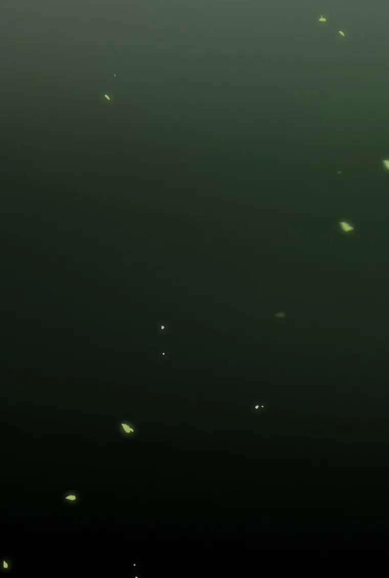 NDcwMUpOTlJFNFM3OUVSQQ.jRn9hgn7IbsC9SXXhbPp9b3LR0p94326IH3MPcmbhTA