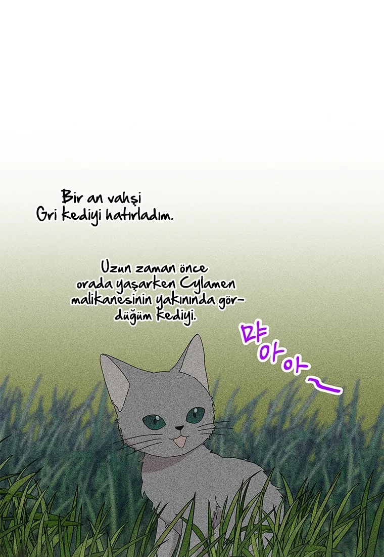 NTAwMUpOTlFKWTJaR0c2NQ.VQDWy8RA5XCKnqCgl4HpASMB7gSfWMGUoGVdQNOuUnQRpZgN5vp3YRDUW0jgf2Fr