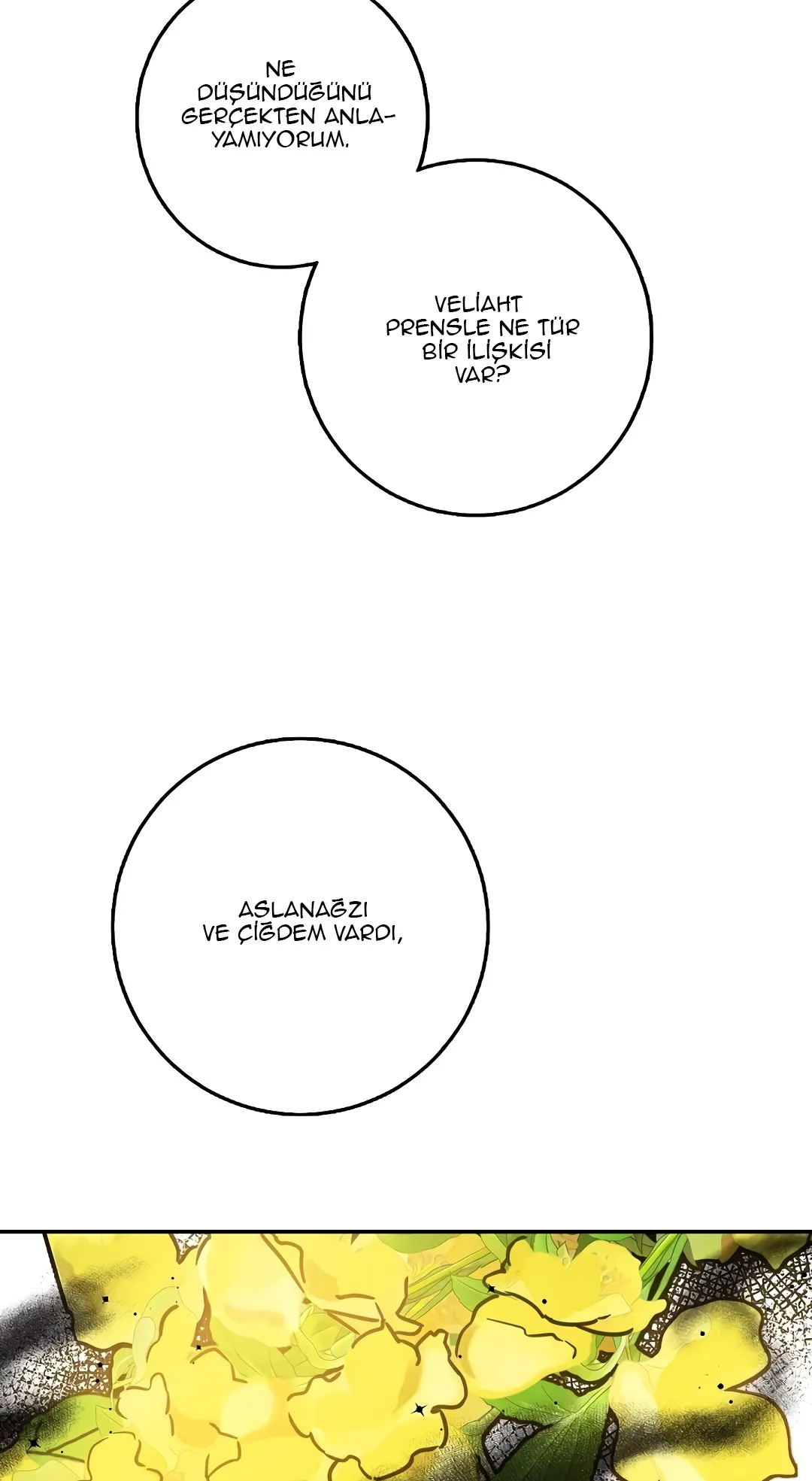 NTAwMUpOTlI0RDdETUVURA.XVw