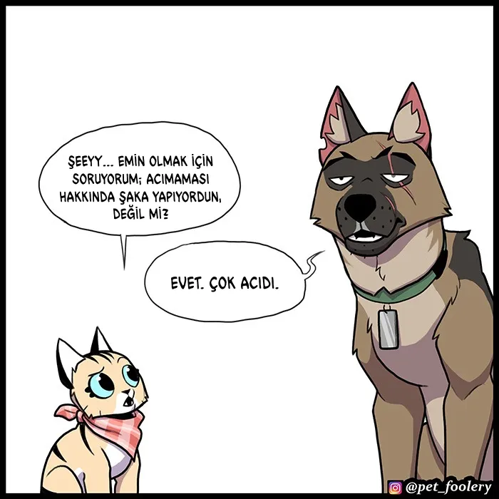 NTAxSk5OUkFaUFhGWFE0Ug. eLRigCfTkY