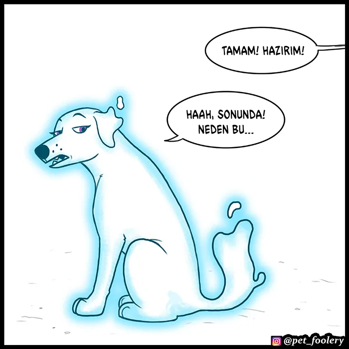 NTAxSk5OUkFaUFlXUjg2VA.pc0
