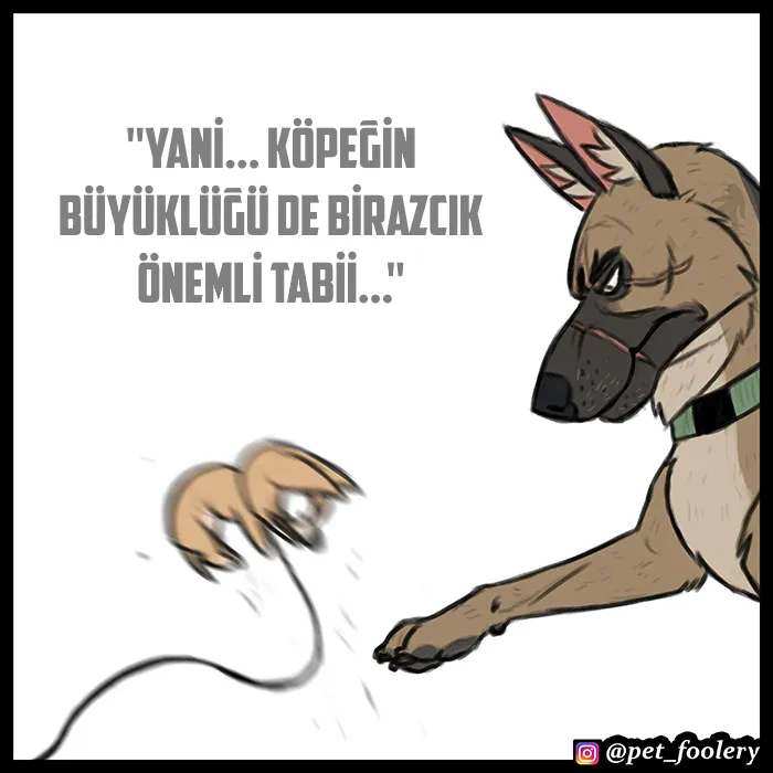 NTAxSk5OUkFaUFpQS1I4Vg.pblTle481ezN4 5iNqXRQRqbMToGWnWwphmi5wvgKbo