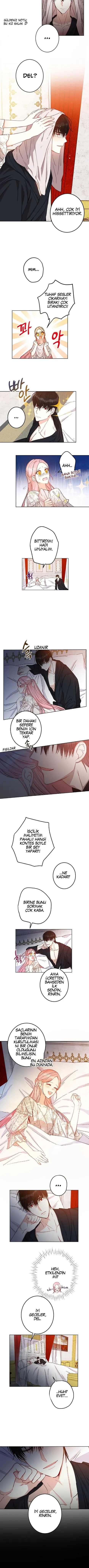 NTAxSk5OUlJKUjFYSDdYUw.